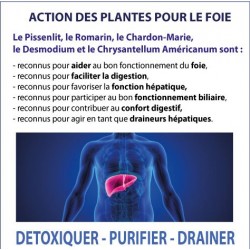 Hépadrel gélules détox du foie