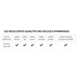 Aflexine arthrose mobilite glucosamine chondroitine 90 gélules végétales
