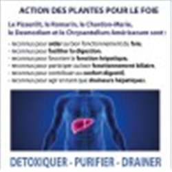 Hépadrel Liquide