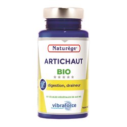 Artichaut Bio - VIBRAFORCE - Digestion & Détox - 60 gélules végétales dosées à 445 mg - Naturège Laboratoire