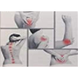 Aflexine Gluco-Chondro