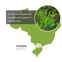 Propolis Verte 60 gélules