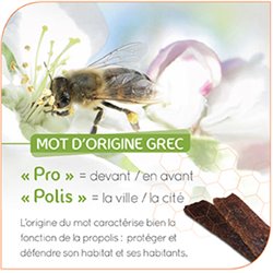 Propolis Verte 60 gélules