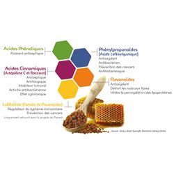 Propolis Verte 60 gélules
