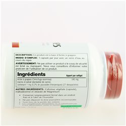 Actée à Grappes Cimifuga
