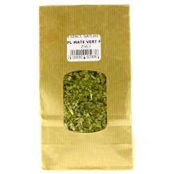PLANTE MATE VERT FEUILLE CM