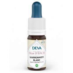 Déva Marronnier Blanc /...