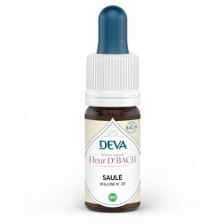 Déva Saule / Willow | Fleur...