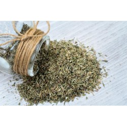 PLANTE HERBES PROVENCE