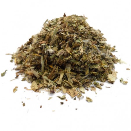 Plante Pissenlit Bio Feuille - Poids Net 35 g