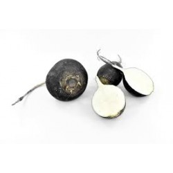 Radis Noir Grand Modèle - 120 gélules végétales - Naturège Laboratoire