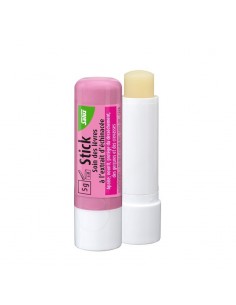 Stick Lèvres  Echinacée - Stick 5 g - Salus