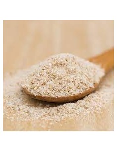 PSYLLIUM BIO Vrac 250 g