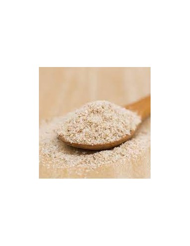 PSYLLIUM BIO Vrac 250 g