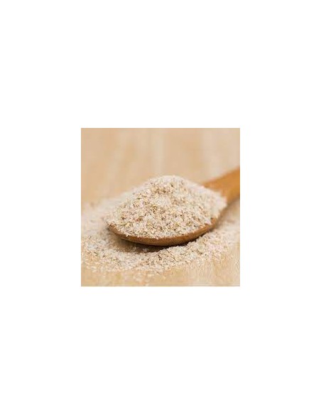 PSYLLIUM BIO Vrac 250 g
