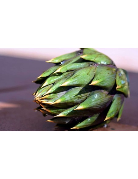 ARTICHAUT BIO  FEUILLE - Sachet 30g - Cailleau Herboristerie