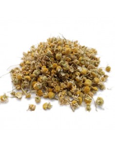 Camomille Matricaire Bio - Sachet 35 g - Cailleau Herboristerie