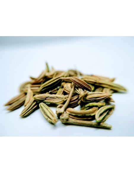 Plante Fenouil Doux Bio Semence - 80 g - Cailleau Herboristerie