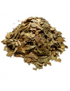 Herbe Gingko Biloba Bio - 80 g - Cailleau Herboristerie