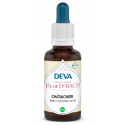 Déva Châtaignier / Sweet Chestnut  | Fleur de Bach Bio