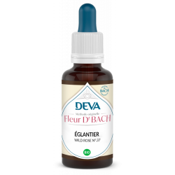 Déva Eglantine / Wild Rose | Fleur de Bach Bio