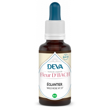 Déva Eglantine / Wild Rose | Fleur de Bach Bio