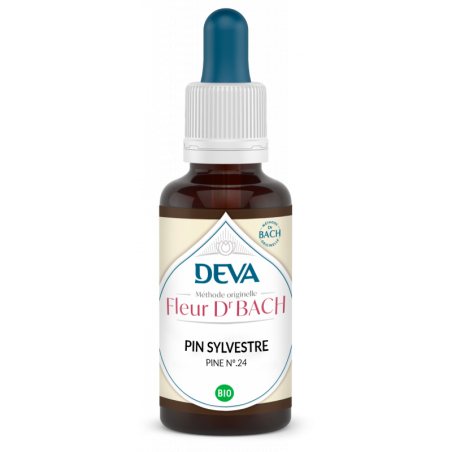 Déva Pin / Pine | Fleur de Bach Bio