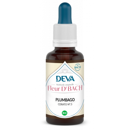 Déva Plumbago / Cerato | Fleur de Bach Bio