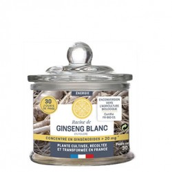Racine de Ginseng Blanc - 30 g - Jardins d'Occitanie