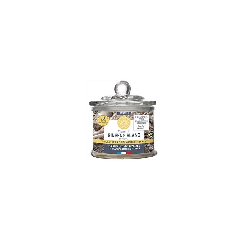 Racine de Ginseng Blanc - 30 g - Jardins d'Occitanie Racine de Ginseng Blanc - 30 g - Jardins d'Occitanie