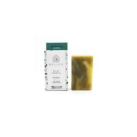 Savon à froid Bio à l’argile verte et eucalyptus
