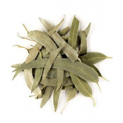 Plante Eucalyptus - Sachet de 100 g - Vallée Nature