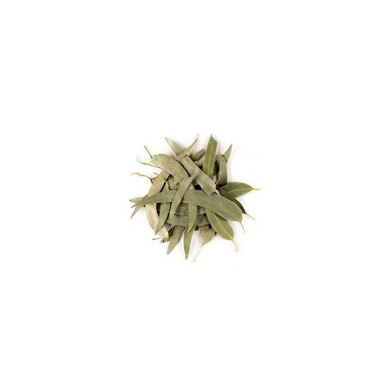 Plante Eucalyptus - Sachet de 100 g - Vallée Nature