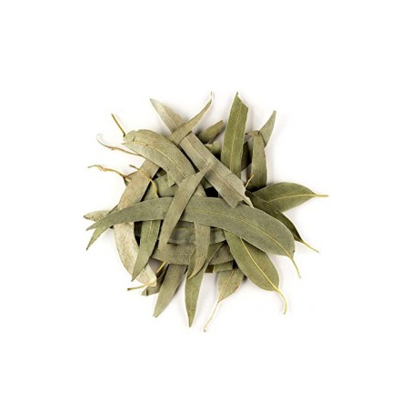 Plante Eucalyptus - Sachet de 100 g - Vallée Nature