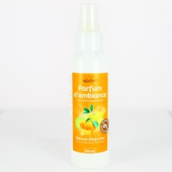 Parfum d'Intérieur Douceur d'agrumes - 100 ml - Direct Nature