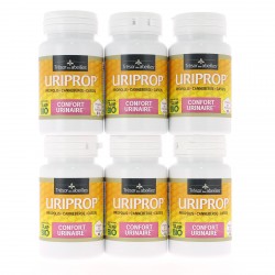PACK PROMO x 6 URIPROP - 6 Piluliers de 60 Gélules - Trésor des abeilles