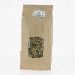 PLANTE RONCE FEUILLE CM