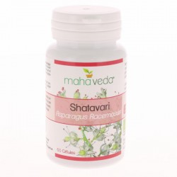 Shatavari