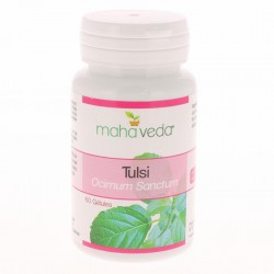 Tulsi (Basilic sacré)