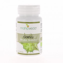 Gokhru - Tribulus Terrestris - 60 Gélules - Maha Veda