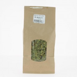 PLANTE MURIER FEUILLES