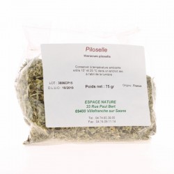 PLANTE PILOSELLE
