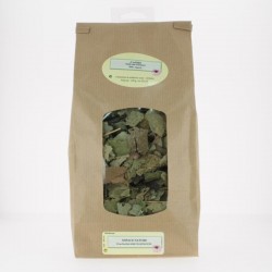 PLANTE CASSIS FEUILLE ENTIER