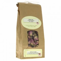 Plante Rose pale bouton