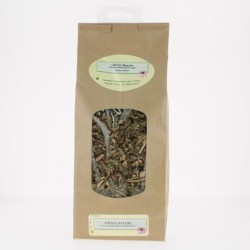 PLANTE ORTIE BLANCHE CM