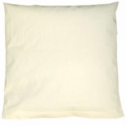 Coussin Oreiller Sarrasin...