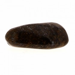 Bronzite