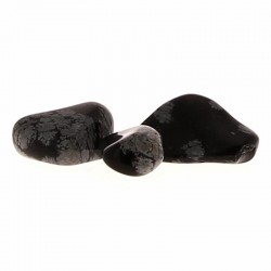 Obsidienne Mouchetée