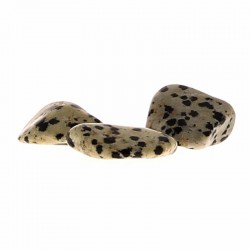 Jaspe Dalmatien