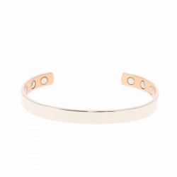 Bracelet BASILIC 6 AIMANTS...